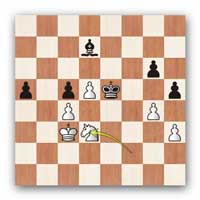 diagram 48.Nd3+...